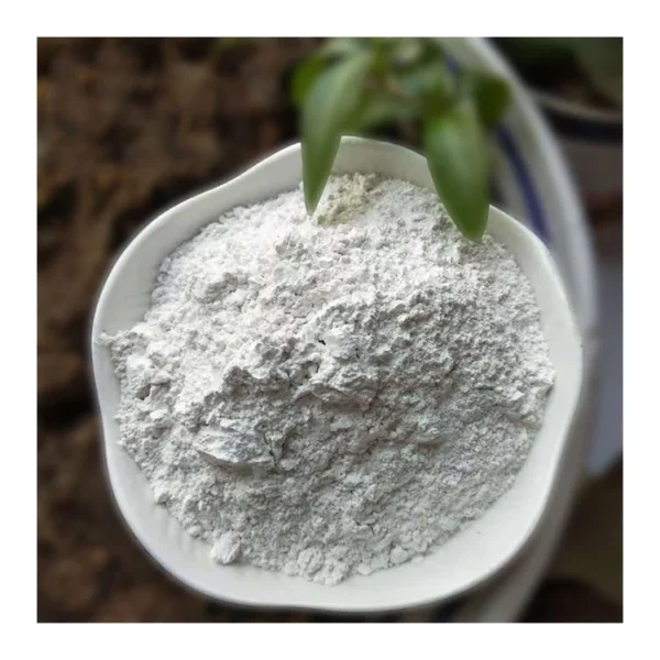 TM054 Dental Pumice Polishing Powder for Dental Clinic Lab Teeth Whitening — detail view 4