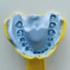 Color Change Dental Alginate Impression Modeling Powder Material - view 2 TM029 Color Change Dental Alginate Impression Modeling Powder Material — detail view 2
